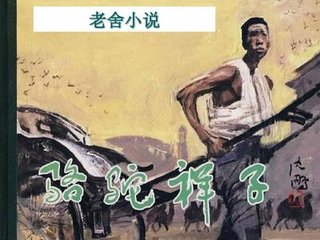 猫咪永久入口网站